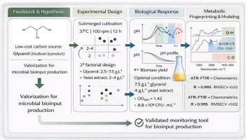 Valorization of glycerol for Bacillus subtilis bioinput prod