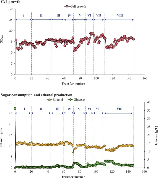 Adaptive evolution of S. cerevisiae DQ1 under progressively increasing p-benzoquinone stress. (a) Cell growth. (b) Glucose consumption and ethanol production. Adaptive evolution was conducted in eight stages with p-benzoquinone concentrations ranging from 80 to 200 mg/L. Cultures were incubated at 3
