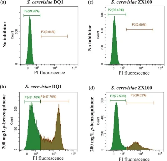 Flow cytometry analysis of membrane integrity in the evolved S. cerevisiae ZX100 under p-benzoquinone stress. (a) Parental strain DQ1 without inhibitor treatment. (b) Parental strain DQ1 treated with 200 mg/L p-benzoquinone. (c) Evolved strain ZX100 without inhibitor treatment. (d) Evolved strain ZX