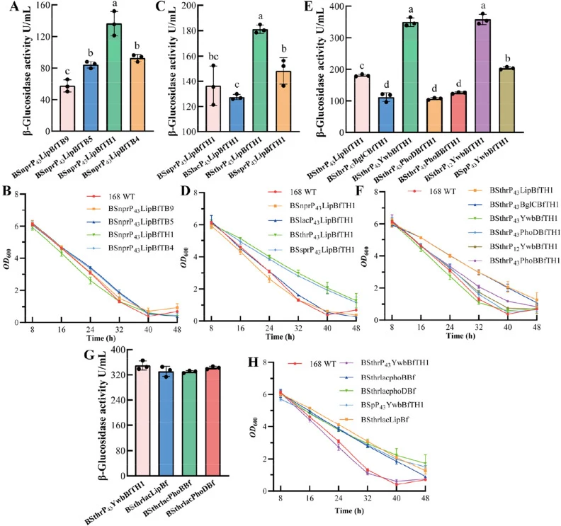 β-Glucosidase activity and growth curves of recombinant Bacillus subtilis strains. (A, B) Strains employing different transcriptional terminators. (C, D) Strains with expression cassettes integrated at different genomic loci. (E, F) Strains with different signal peptides. (G, H) Strains with multi-c