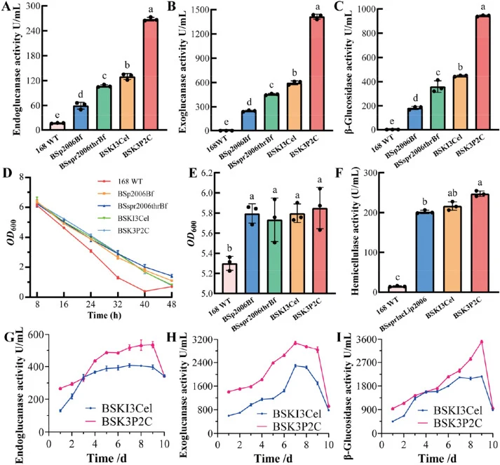 Cellulase activities and growth curve of recombinant strains producing composite cellulase activities. Endoglucanase (A), exoglucanase (B), and β-glucosidase (C) activities of the recombinant strains after 24 h of cultivation. (D) Growth curve of composite cellulase-producing strains. (E) OD 600 of
