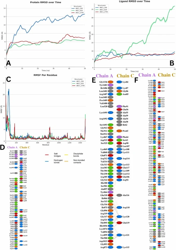 (A-B) Protein and ligand RMSD and (C) RMSF analysis for top three complexes of abcA for Aspergillus fumigatus revealing the stable and unstable conformations (D-F) Interactions analysis indicating the residues that bind between chain A and chain C for acbA and de novo binders, respectively for abcA-