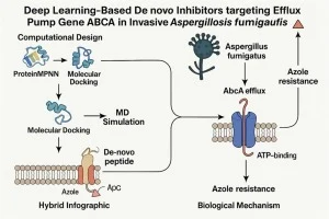 Efflux pump gene ABCA as targets for deep learning-based de