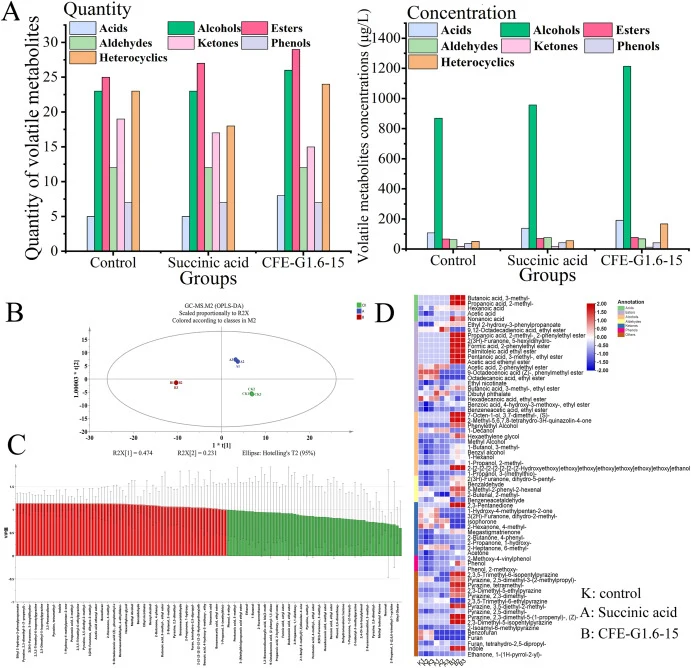 Effect of the addition of succinic acid and CFE-G1.6-15 on volatile flavor compounds in soy sauce. (A) The quantities and concentrations of volatile flavor compounds in soy sauce; (B) OPLS-DA score plot of volatile flavor compounds among samples; (C) Key differential volatile metabolites based on VI