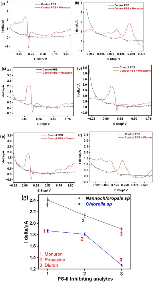 Differential pulse voltammetry (DPV) responses of the LIG-based algal biosensing platform in control PBS and in the presence of PS-II-inhibiting herbicides. (a, c, e) Nannochloropsis sp-immobilized system; (b, d, f) Chlorella sp-immobilized system. (a, b) Monuron detection; (c, d) Propazine detectio