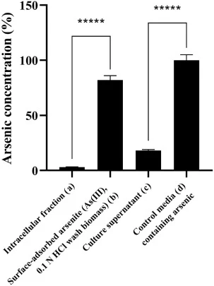 ICP-MS analysis of arsenic bioremediation by Bacillus subtilis ULB16: The figure shows that >80% of the arsenic was detected in the surface-adsorbed fraction after 48 h of incubation (b), with negligible intracellular accumulation (a) and <20% detected in the culture supernatant (c). Data represent