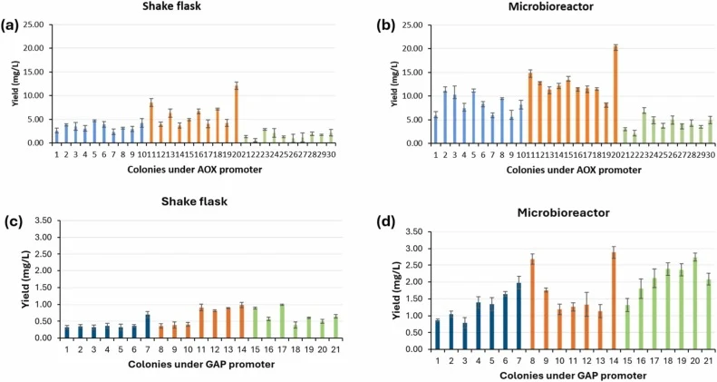 Screening of recombinant K. phaffii clones for the intracellular expression of HPV 16L1 protein. Uniform inoculum was used to assess HPV 16L1 expression, with error bars representing the standard deviation of three technical replicates. (a) and (b) show HPV 16L1 expression under the control of the i