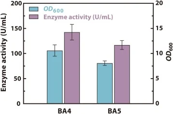 Growth and enzyme production profiles of strains BA4 and BA5 during sucrose isomerase fermentation. Data represent the mean ± SD of triplicate measurements for three independent isogenic colonies per mutant.