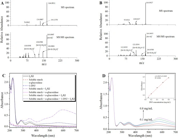 MS spectra and MS/MS spectra of the 1-DNJ standard (A) and the fermentation broth (B). UV-vis spectra of I2/KI, soluble starch, α-glucosidase, soluble starch + I2/KI, soluble starch + α-glucosidase, soluble starch + α-glucosidase + I2/KI (C). The UV-vis spectra of sample solutions with different con
