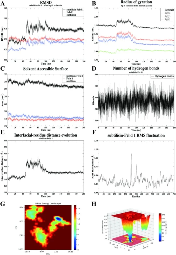 Molecular dynamics simulation analysis of the subtilisin–Fel d 1 complex. (A) Root-mean-square deviation (RMSD) of the complex and individual proteins over the 200 ns simulation, reflecting conformational stability. (B) Time evolution of the total radius of gyration (Rg) and its components along the