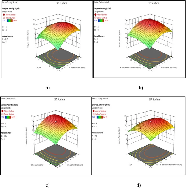 The 3D response surface plots for the CCD experiment demonstrates the interactions between several parameters a) pH (9.0) and incubation time (48 h) b) Y.E. concentration (0.35%, w/v) and incubation time (48 h) c) Inoculum size (3%, v/v) and incubation time (48 h) d) pH (9.0) and Y.E. concentration