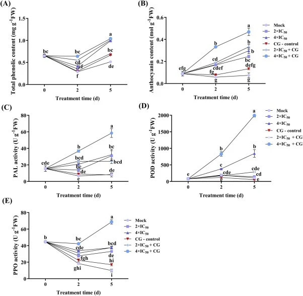 Effects of the crude lipopeptide extract from B . velezensis J69 on defense related biochemical parameters in strawberry fruits. (A) TPC (mg g⁻¹ FW); (B) TAC (µmol g⁻¹ FW); (C) PAL activity (U g⁻¹ FW); (D) POD activity (U g⁻¹ FW); and (E) PPO activity (U g⁻¹ FW). Measurements were taken at 0, 2, and