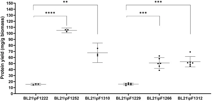 Effect of 3′-UTR hairpin variants on recombinant specific cellular fusion-protein content in E. coli BL21. Specific cellular fusion-protein content is shown for constructs expressing SUMO–SARS-CoV-2–derived peptide (n = 3 biological replicates) and SUMO–liraglutide-derived peptide (n = 6 biological