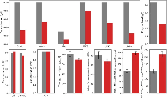 Initial concentrations and performance of the baseline process (gray) compared to the process optimized for minimum enzyme load (red). The enzyme load is the sum of all initial enzyme concentrations. Titer and conversion yield refer to the product UDP-GalNAc and the substrate uridine. The relative t