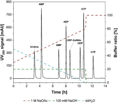 70 μM UDP-GalNAc校准标准溶液高效阴离子交换色谱分离的260 nm紫外信号。