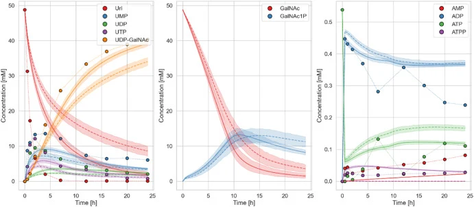 Comparison of the model fits of the initial core model (dashed lines) and the selected model variant (solid lines) for experiment 4. Trajectories show the average behavior of the ensemble generated for the respective model (n = 50) across all parameter sets; shaded regions show the 95 % confidence i