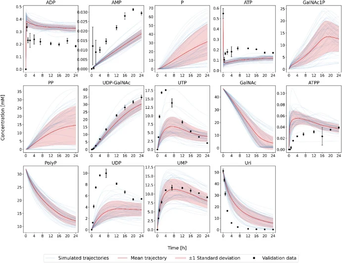 Simulated trajectories of the predicted optimal initial enzyme and substrate concentrations of the enzyme load optimization with data from the experimental validation. The simulation was repeated for each parameter set in the ensemble (average trajectories ± standard deviation and individual traject