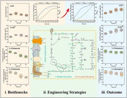 Coordinated reinforcement of energy and ammonia-donor supply
