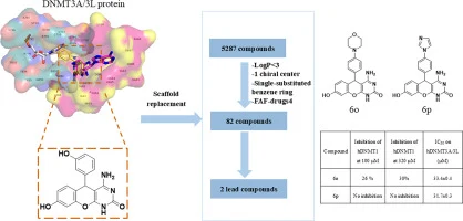 Rational design and synthesis of a heterocycle scaffold for