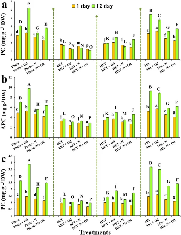 Phycobilin pigments content of S. platensis; (a) Phycocyanin, (b) Allophycocyanin, and (c) Phycoerythrin on 1 d and 12 d under different treatments. Bars are mean ± SD from three replicates. The letters indicate the statistical significances.