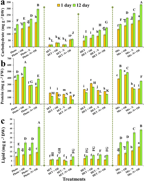 (a) Carbohydrate, (b) Protein and (c) Lipid contents of S. platensis on 1 d and 12 d under different treatments. Different lowercase and uppercase letters, respectively, indicate significant differences among the treatments on 1 d and 12 d.