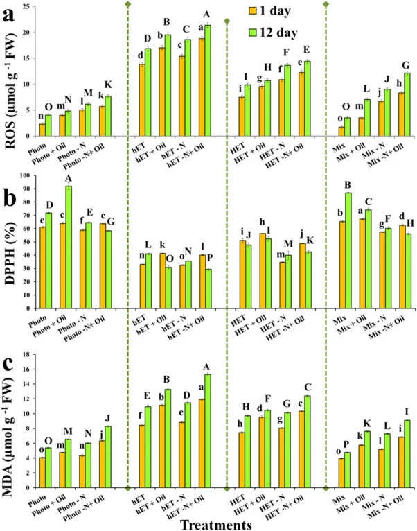 (a) Reactive oxygen species, (b) DPPH scavenging percentage, (c) MDA of S. platensis on 1 d and 12 d under different treatments. Different lowercase and uppercase letters, respectively, indicate significant differences among the treatments on 1 d and 12 d.