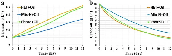 Simulated Spirulina platensis biomass (a) and crude-oil degradation (b) using the coupled Haldane–Monod. model. The model couples normalized biomass growth and substrate loss, accurately reproducing experimental trends: faster growth and oil removal in heterotrophic cultures with glucose, moderate p