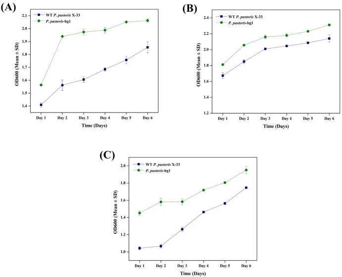 Growth profile (OD600) of recombinant P. pastoris-bg1 and wild-type P. pastoris X-33 under varying methanol concentrations in BMMY medium over 6 days. Methanol concentration was the only variable factor, while all other culture conditions (temperature, pH, inoculum size, agitation speed, and medium