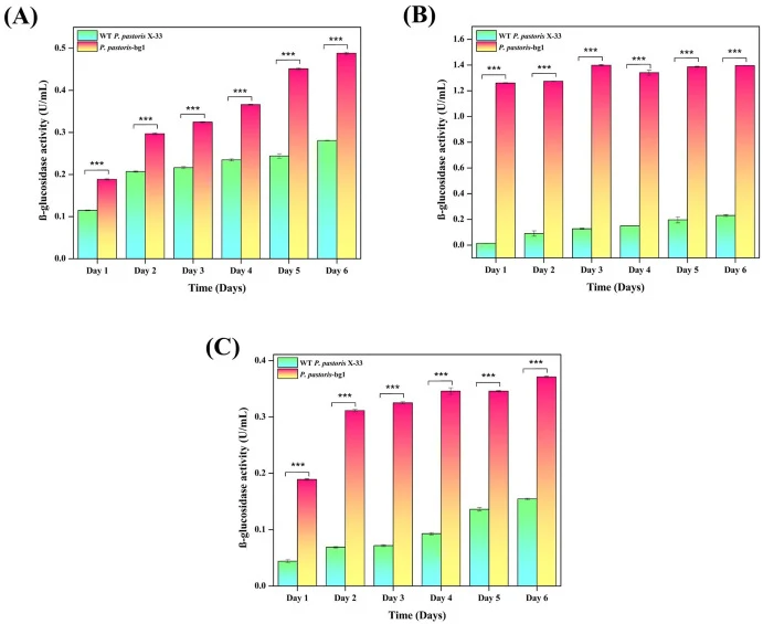 Effect of methanol concentration on β-glucosidase activity of WT P. pastoris X-33 and recombinant P. pastoris-bg1 during six days of cultivation. (A) 0.5% methanol, (B) 1.0% methanol, and (C) 1.5% methanol. Data are presented as mean ± SD of three independent biological experiments (n = 3). Statisti