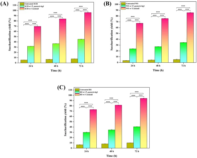 Comparative saccharification yield of agricultural biomass. Saccharification yield of (A) SCB, (B) WS, and (C) RS after treatment with recombinant β-glucosidase (pPICZαA/bg1) and the enzyme cocktail containing recombinant β-glucosidase and recombinant endoglucanase (pPICZαA/TreglI) at 24, 48, and 72