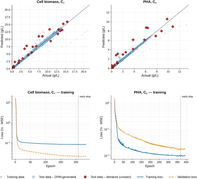 (top) ANN models’ prediction accuracy for cell biomass (left) and PHA (right) concentrations on the test dataset (1028 datapoints). (bottom) training loss convergence of the ANN surrogate models for cell biomass (left) and PHA (right) concentrations.
