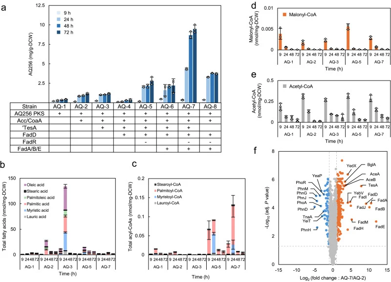 Stepwise engineering of fatty acid biosynthesis and β-oxidation pathways enhances AQ256 production and alters intracellular metabolic states. a, Time course of AQ256 production in engineered strains cultured in LB medium supplemented with 10 g/L glucose. AQ-1 expresses the ant gene cluster only. AQ-