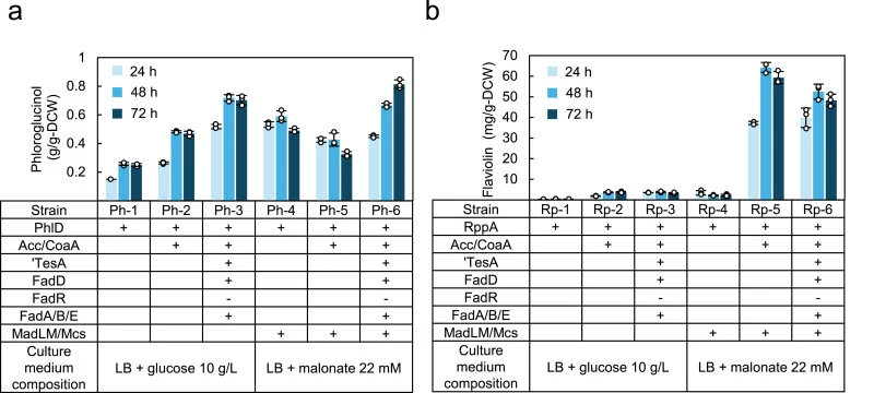 Effects of the FABOX pathway on other malonyl-CoA-dependent polyketides. a, Phloroglucinol production in engineered strains expressing PhlD under glucose-supplemented (10 g/L) or malonate-supplemented (22 mM) conditions. Production was quantified at 24, 48, and 72 h. “−” in the FadR row indicates fa