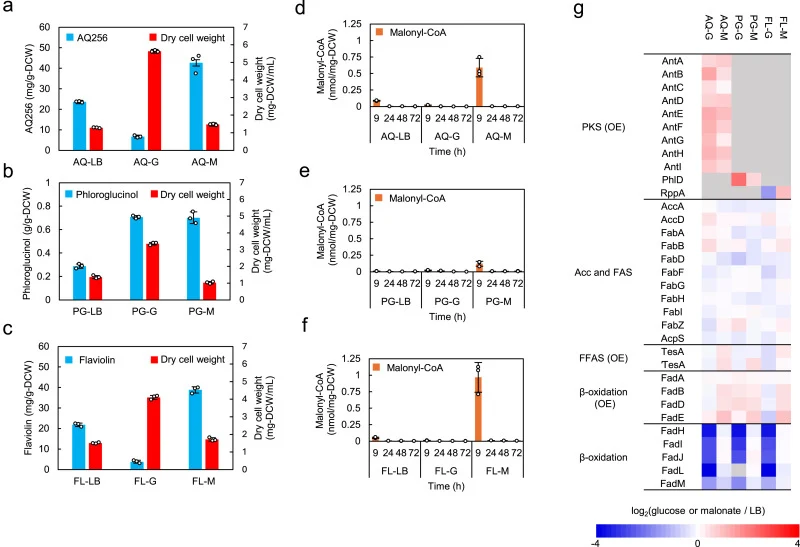 Carbon source-dependent cellular states shape product-dependent production responses. a-c, Polyketide production and dry cell weight of AQ-14 (a), Ph-6 (b), and Rp-6 (c) cultured under different carbon source conditions. Blue and red bars indicate polyketide production and dry cell weight, respectiv