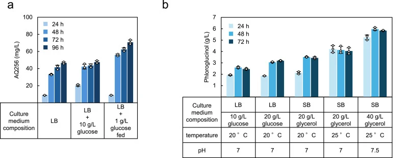 Carbon supply strategies differentially affect AQ256 and phloroglucinol production. a, Time course of AQ256 production by AQ-7 under different glucose supply conditions. Cells were cultivated in LB medium without glucose, LB supplemented with 10 g/L glucose at inoculation, or LB with stepwise glucos
