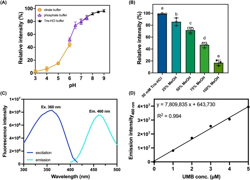 Optimization of fluorescence measurement conditions and calibration curve establishment for UMB quantification. (A) Effect of pH on UMB fluorescence intensity measured in different buffer systems (citrate, phosphate, and Tris buffers) over a pH range of 3–9. (B) Effect of solvent composition on UMB
