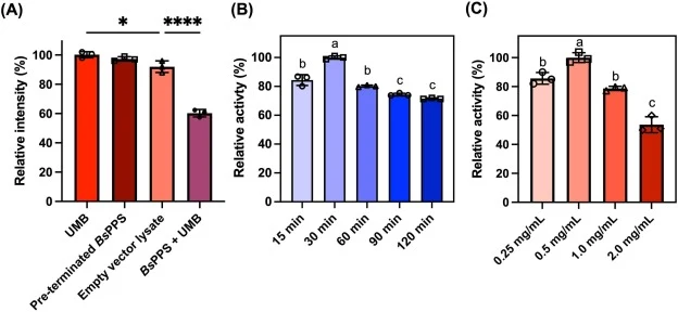 Evaluation of background interference and optimization of crude enzyme preparation for high-throughput screening. (A) Evaluation of endogenous interference from E. coli lysate. Crude lysates from cells harboring empty vector and BsPPS-expressing cells were incubated with UMB under identical conditio