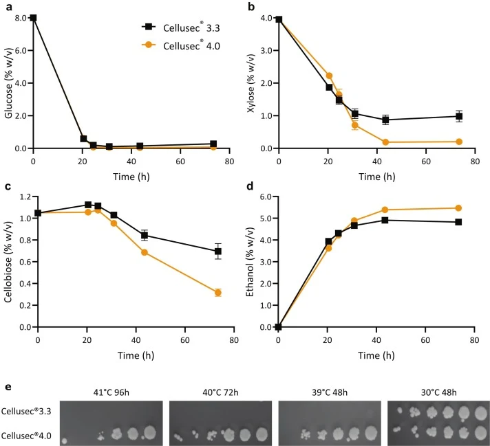 Confirmation of the improved performance of Cellusec®4.0 in mixed-sugar fermentations at 40 °C (a-d). Time profiles of glucose (a), xylose (b), cellobiose (c), and ethanol (d) in 50 mL fermentations. Cellusec®3.3 is indicated by black squares, and Cellusec®4.0 by yellow circles. Data are shown as me