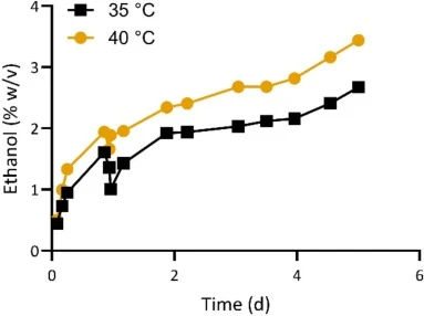 Fed-batch SSF with cellulose pulp from pretreated softwood with Cellusec®4.0 demonstrates improved ethanol production at high temperature. Time profile of ethanol during fed-batch SSF of pretreated softwood at 35 °C (black squares) and 40 °C (yellow circles). Feeding of 1.5% (w/v) solids was done re
