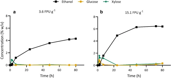 Fed-batch SSF of pretreated sugarcane bagasse with Cellusec®4.0 at 3.6FPUg−1 (a) and at 15.1FPUg−1 (b) of the in-house cellulase cocktail, at 39 °C. Time profiles of ethanol (black squares), glucose (yellow circles), and xylose (green diamonds). No glucose or xylose was detected at 3.6 FPUg−1, at 15