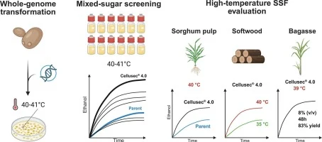 Efficient high-temperature simultaneous saccharification and