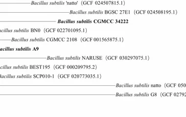 纳豆发酵菌株CGMCC 34222与A9的比较代谢组学及功能