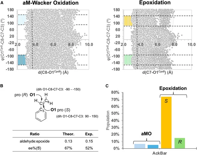 Epoxidation vs. anti-Markovnikov selective Wacker oxidation by AckBar mutant (A) Scatterplots of key geometrical parameters were extracted from the MD trajectories. The geometric analysis of AckBar-styrene non-covalent reactant complex was based on structures obtained from three independent 0.5 μs M