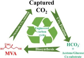 Tailoring CO2 fixation through glucose and acetone as co-sub
