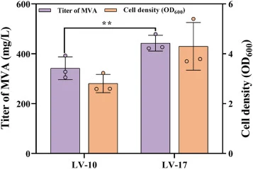 Performance of the fully optimized strain LV-17 integrating multiple metabolic engineering modules. LV-17 is the ΔatoB ΔatoS strain harboring pCDFDuet-ac-aacs, pACYCDuet-mvas-hmgr, and pET28a-ompA-ca-vhb. Data are presented as mean ± SD from three biological replicates where applicable. Data are pre