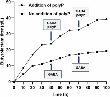 Synthesize butyrolactam by ACT and PPK2 co-displayed strain. The butyrolactam production by this strain under different conditions. The co-display system was supplemented with 10 g/LGABA and 10 mM polyP at 40 h and 70 h of cultivation (as indicated by the arrows), whereas the intracellular system re