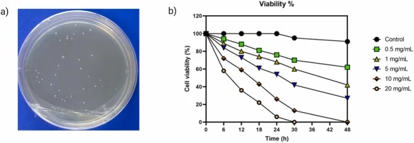 EMS mutagenesis of C. glutamicum PUT Xyl and its effect on cell viability (a) Representative serial dilution plate (10⁻⁶) of C. glutamicum PUT Xyl treated with 5 mg/mL EMS and plated on BHI agar containing 200 mM putrescine, showing survival under toxic putrescine stress. (b) Effect of EMS on cell s