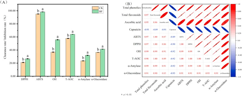 (A) Comparison of in vitro antioxidant and hypoglycemic activities of Zao chili after fermentation, and (B) heatmap showing correlations between active components and functional properties during Zao chili fermentation. Letters a–b in panel (A) and asterisks (*) in panel (B) indicate significant dif