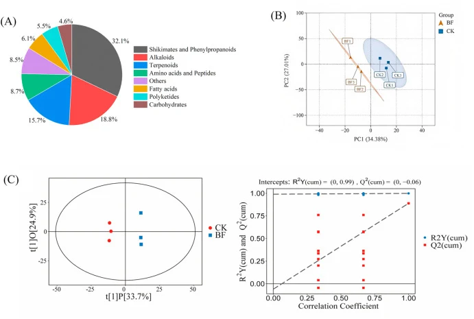 (A) Pie chart showing classification and proportion of metabolites, (B) PCA score plot of different Zao chili samples, and (C) validation results of the OPLS-DA model. In the legend, BF denotes Zao chili samples fermented with Bacillus subtilis inoculation, and CK denotes Zao chili samples fermented