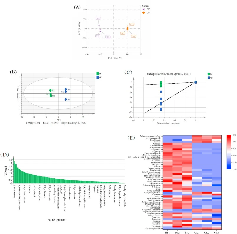 (A) PCA score plot of flavor analysis of different Zao chili samples. (B) OPLS-DA score plot of BF and CK. (C) permutation test results. (D) VIP values of BF and CK. (E) heatmap of differential flavor compounds in Zao chili. In the legend, BF denotes Zao chili samples fermented with Bacillus subtili